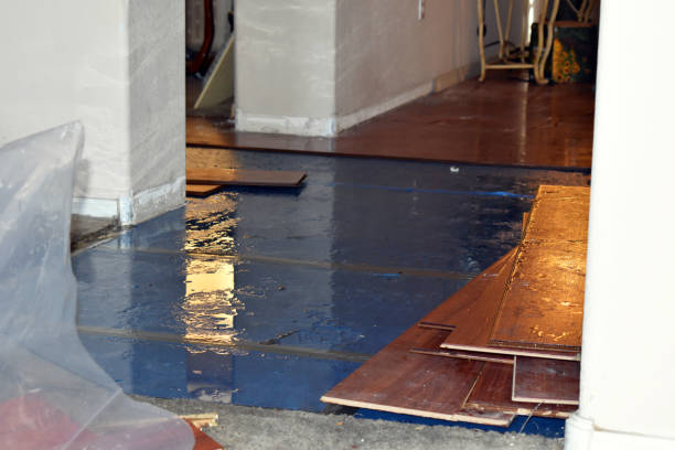 Professional Flood Cleanup technician working in Steward, IL