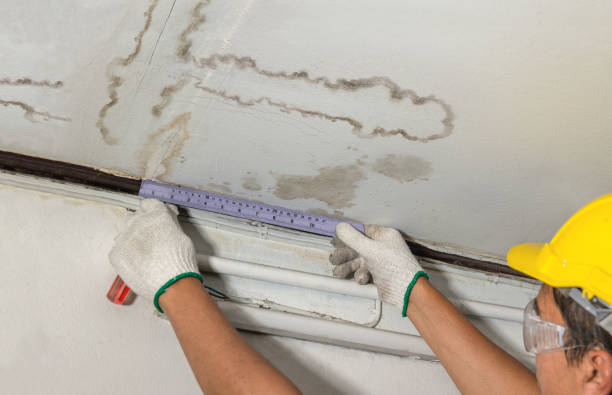Reliable Flood Cleanup contractor in Steward, IL by Water Damage Irwin